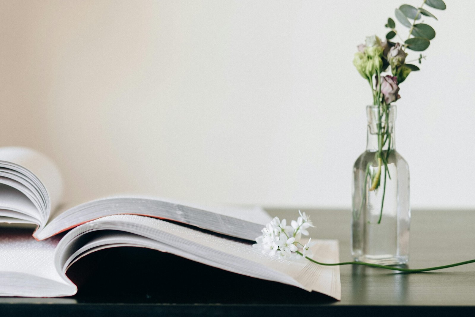 pexels n voitkevich 7488127 scaled Nifty digitals